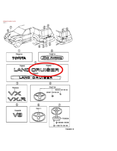 LOGO "CRUISER" PORTON TRASERO J-10