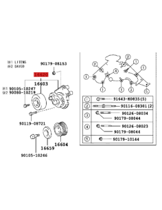 TENSOR CORREA DE SERVICIO J-10 (UZJ) 2