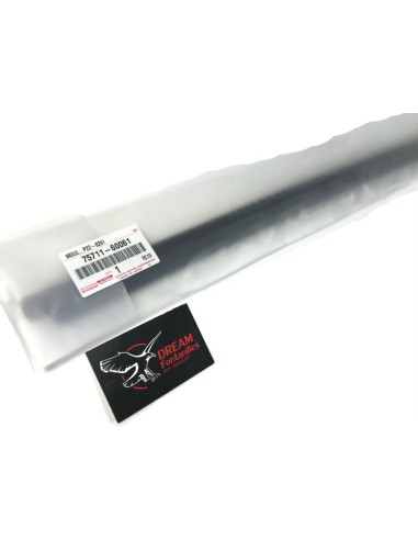 MOLDURA VENTANA PUERTA DELANTERA IZQUIERDA J12  ( ORIGINAL )