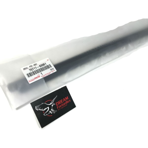 MOLDURA VENTANA PUERTA DELANTERA IZQUIERDA J12  ( ORIGINAL )