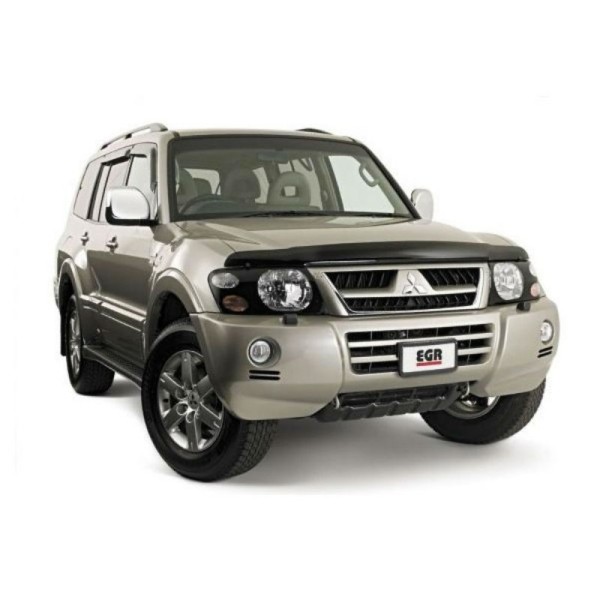 PROTECTOR FAROS MITSUBISHI PAJERO