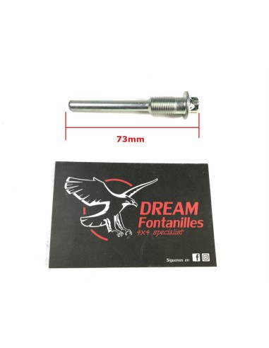 TORNILLO CAJA SATELITES TRASERO CON BLOQUEO