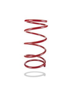 MUELLE FRONTAL (STANDARD) SUBARU OUTBACK BG PEDDERS