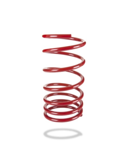 MUELLE TRASERO (-40mm) SUBARU OUTBACK BG PEDDERS