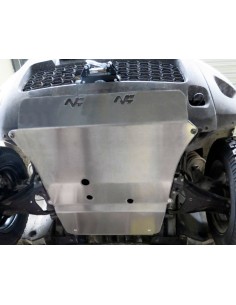 Proteccion DACIA 2