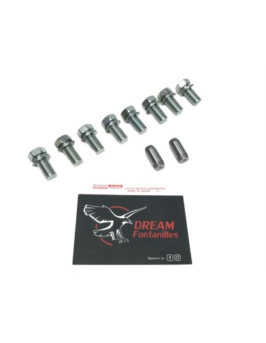 KIT TORNILLERIA VOLANTE MOTOR HDJ-80 24V