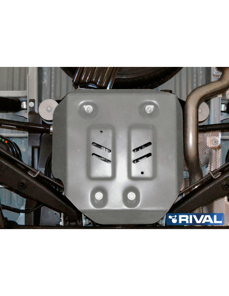 PROTECCIÓN DIFERENCIAL VW T5 / T6 4MOTION RIVAL