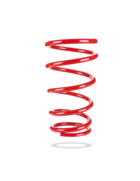 MUELLE TRASERO STD NISSAN X-TRAIL T30 (2001-2009) PEDDERS