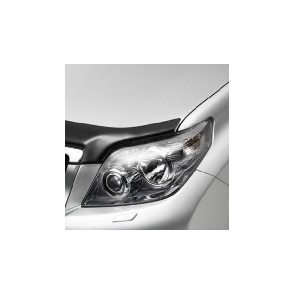 PROTECTOR FAROS J-15 POSTERIOR A 2014