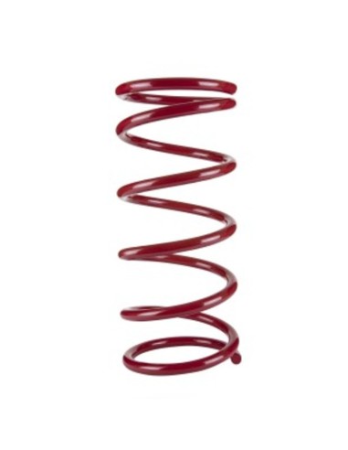 Rear spring subaru/nissan - Pedders