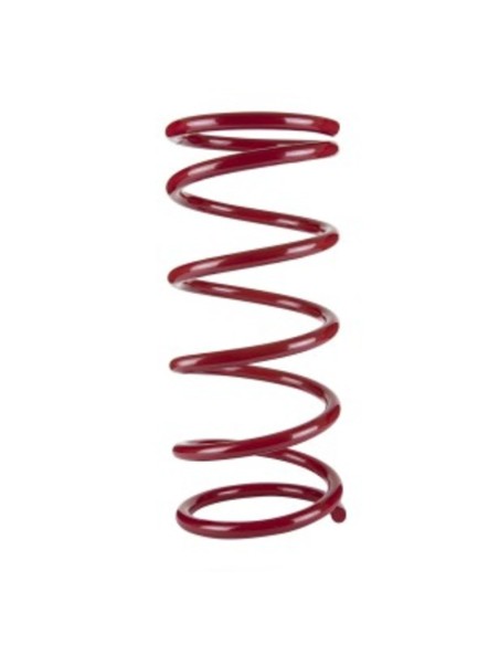 Rear suspension Subaru / Nissan - Pedders