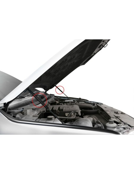 Motorhaubend- Dämpfer für Ford Ranger (2011 - 2022) und Mazda BT - 50 (2011 - 2020) - RIVAL