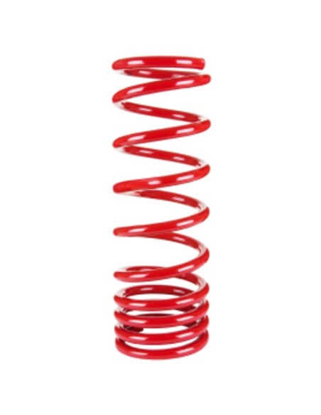 Molla posteriore rinforzata standard Opel Frontera corto (1989-2004) - Pedders