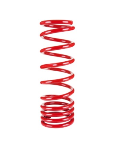 Reinforced rear spring +20mm opel border (89-04) - Pedders