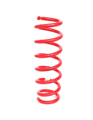 Reinforced front spring +30mm ford ranger raptor - Pedders