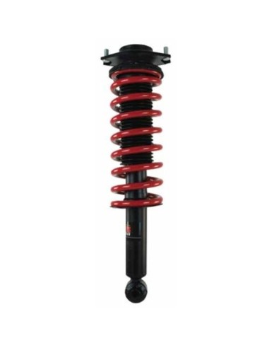 Amortiguador+Feder hinten rot (+25mm) Subaru Outback BR - Pedders