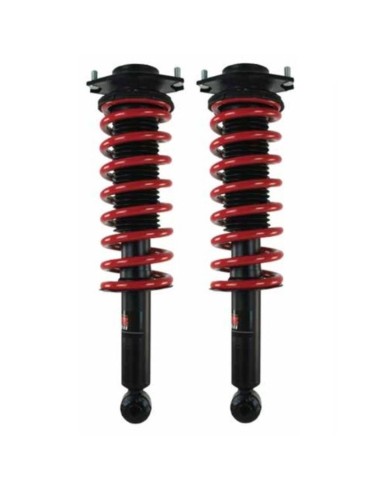 Kit of two shock absorbers + springs +25mm...