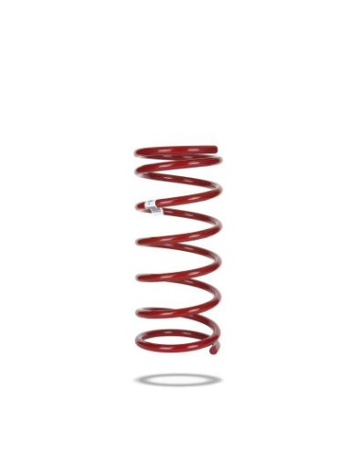 Reinforced rear spring mitsubishi pajero nf/ng - Pedders