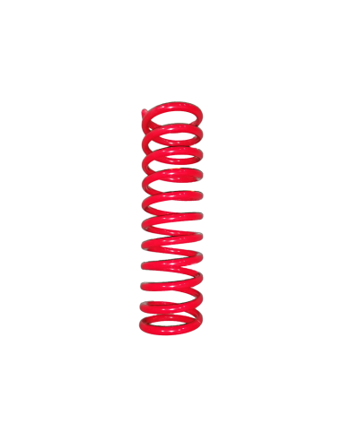 Front spring mercedes g (+50mm) - Pedders