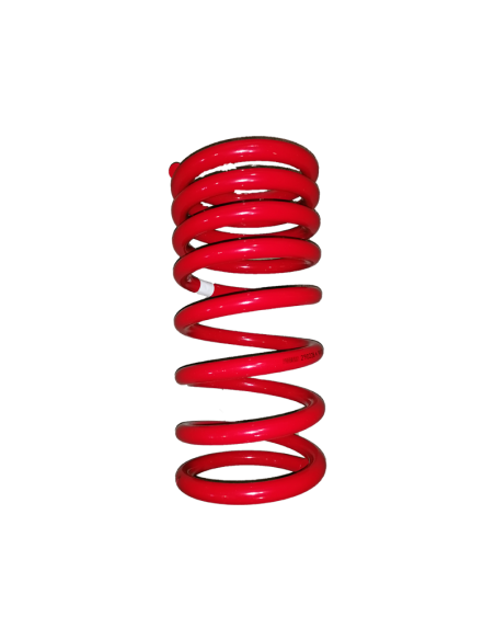 Hintere progressive Federung Mercedes G (+50mm / 200kg) - Pedders