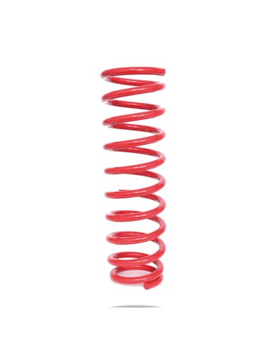 Reinforced front spring +50mm suzuki jimny - Pedders