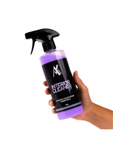 Cleaning and conditioning of interior plastics...