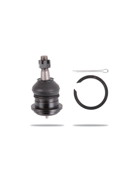 Rótula trapecio superior delantero Toyota Hilux (kun15 / kun25) - Pedders