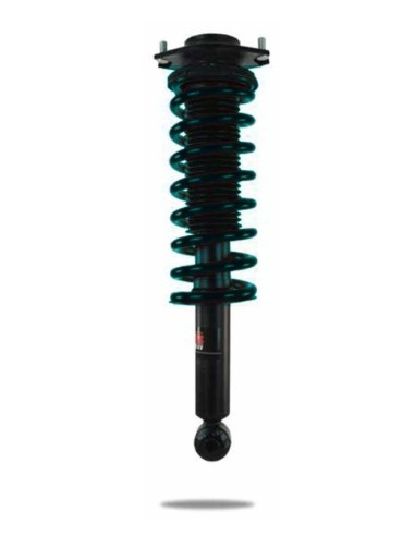 Amortizzatore + molla pre-montato posteriore Subaru Outback BR - Pedders
