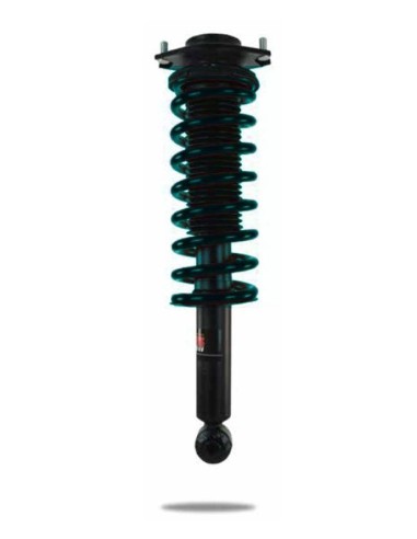 Shock absorber + rear pre-assembled spring Subaru Outback BR - Pedders