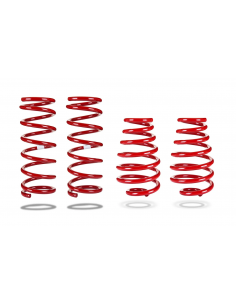 Reinforced suspension kit +40mm Nissan X-Trail T32 (2014...