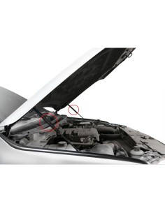 Amortecedores de capô Ford Everest (2022 -), Ranger...