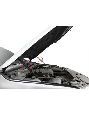 Amortisseurs de capot pour Ford Everest (2022 -...