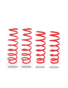 Kit de suspension complet renforcé +40mm (+300kg partie...