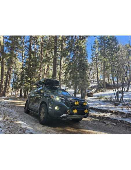 Kit de suspension complet préassemblé renforcé +50mm +250kg Subaru Forester SK (2018 - Actuel) - Pedders