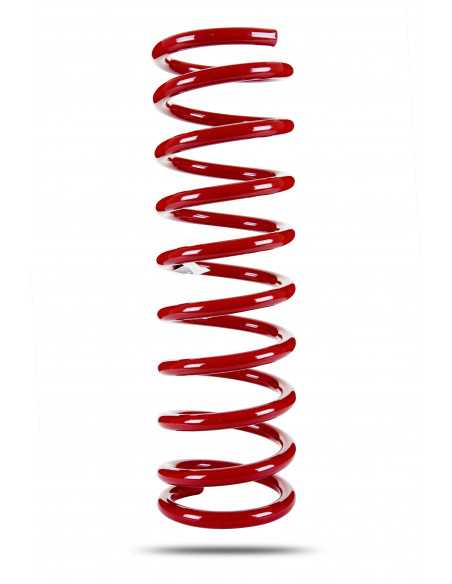 Reinforced rear suspension +40mm Nissan Terrano I / II / Ford Maverick - Pedders
