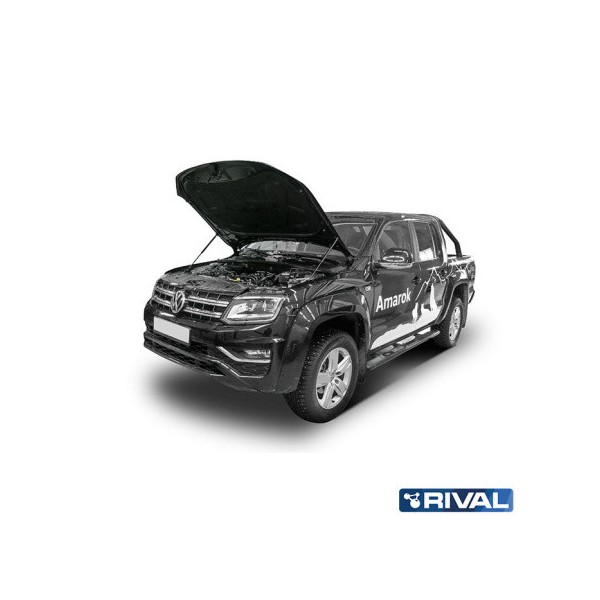 Ammortizzatori rinforzati cofano Volkswagen...