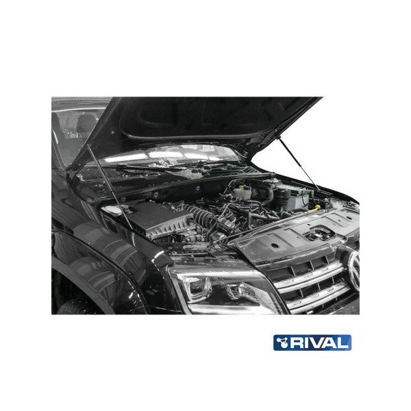 Reinforced Hood Shocks Volkswagen Amarok (2010...