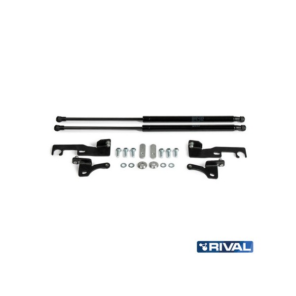 Amortecedores de Capô Isuzu D - Max (2012 a...
