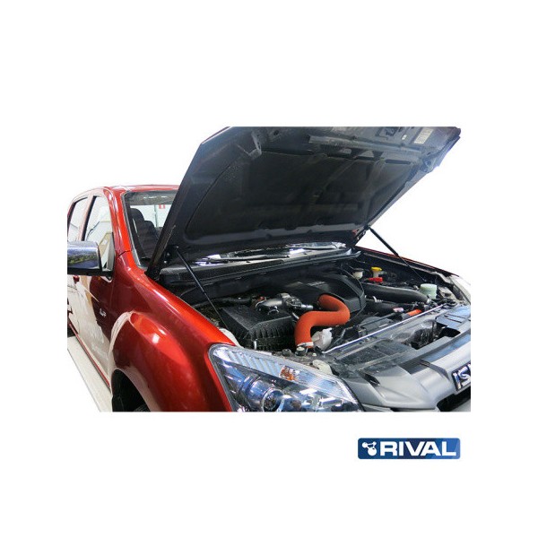 Amortisseurs de Capot Isuzu D - Max (2012 à...