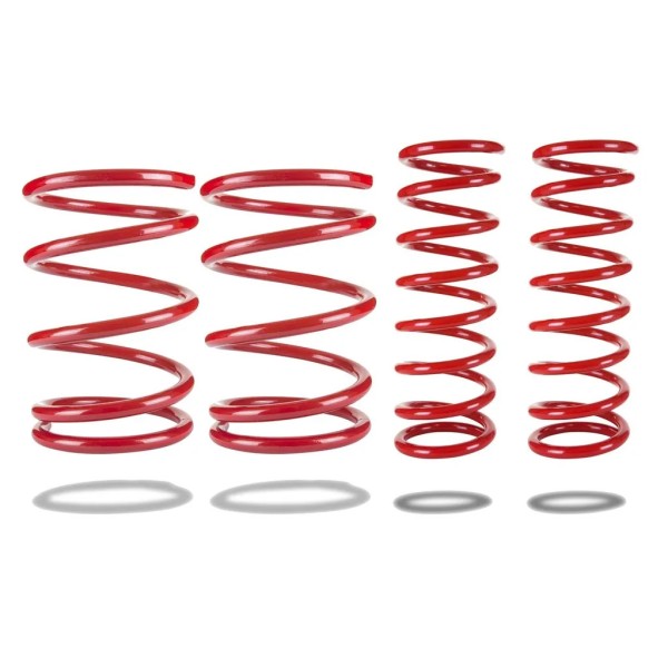Complete Heavy-Duty Spring Kit (-40mm) for...