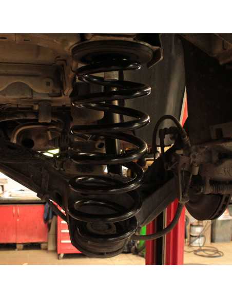 Reinforced rear suspension +30mm (without load) +300kg Jumpy / Scudo / Expert / Proace (2016 - ) Vivaro (2019 - ) - Pedders