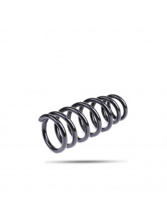 Rear reinforced spring +30mm (without load) +600kg Jumpy...