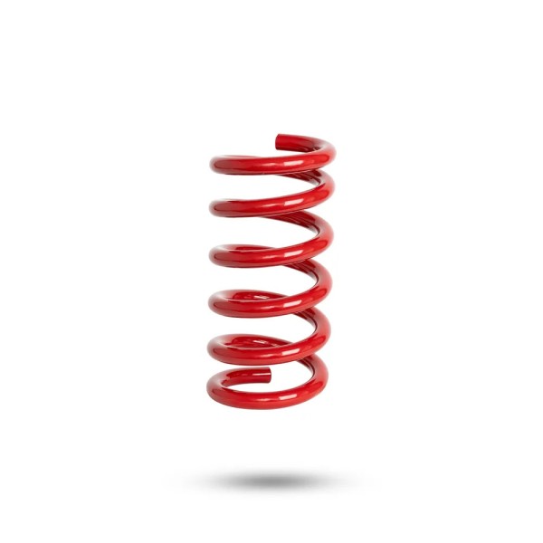 Reinforced Rear Left Spring - 30mm Ford Mustang...