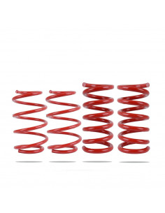 Kit completo di molle rinforzate - 30mm Ford Mustang S550...