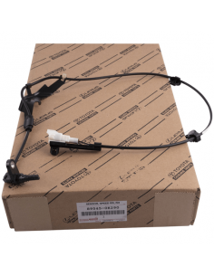 Cableado ABS trasero derecho (anterior a 08/2024) para...