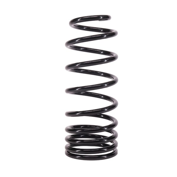 Verstärkte hintere Feder +50 mm / +100 kg für...