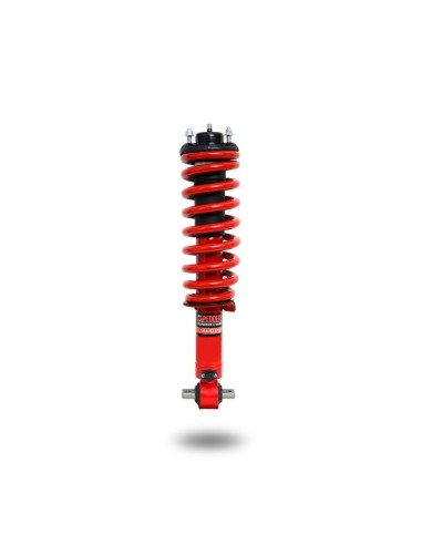 Front adjustable pre-assembled shock absorber +...