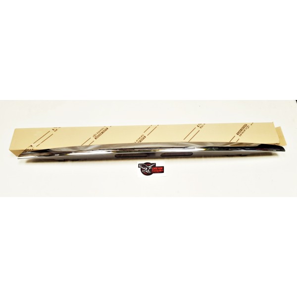 EMBELLECEDOR PORTON TRASERO J-12