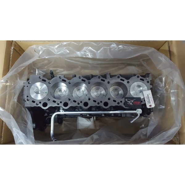 Bajo motor toyota hdj80 