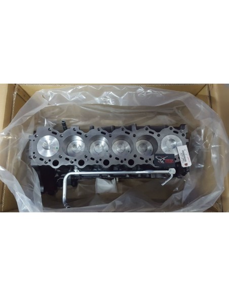Bajo motor toyota hdj80 